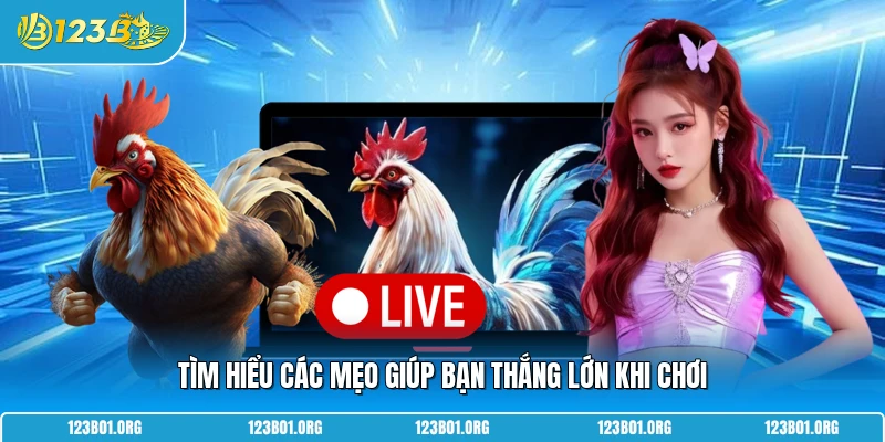 Tìm hiểu các mẹo giúp bạn thắng lớn khi chơi
