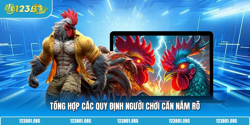 Tổng hợp các quy định người chơi cần nắm rõ