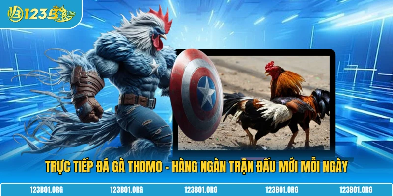 Trực Tiếp Đá Gà Thomo - Hàng Ngàn Trận Đấu Mới Mỗi Ngày